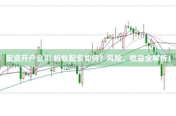 配资开户公司 蚂蚁配资如何？风险、收益全解析！