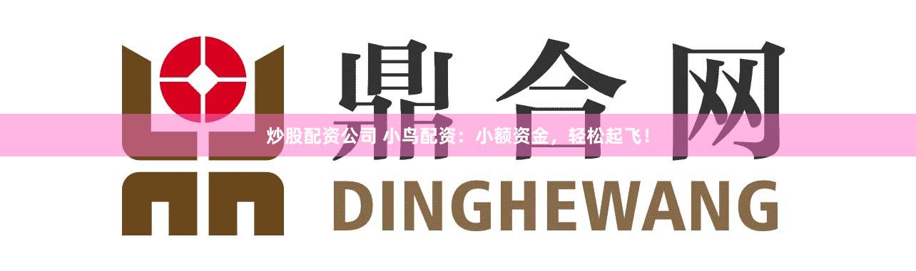 炒股配资公司 小鸟配资：小额资金，轻松起飞！