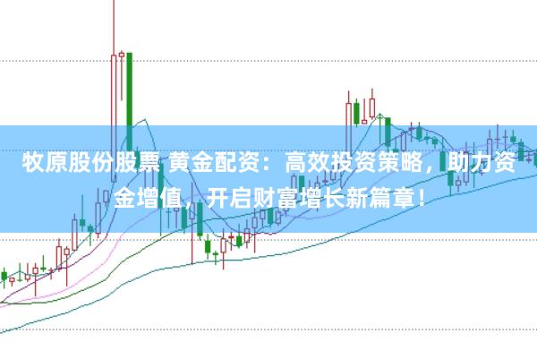 牧原股份股票 黄金配资：高效投资策略，助力资金增值，开启财富增长新篇章！